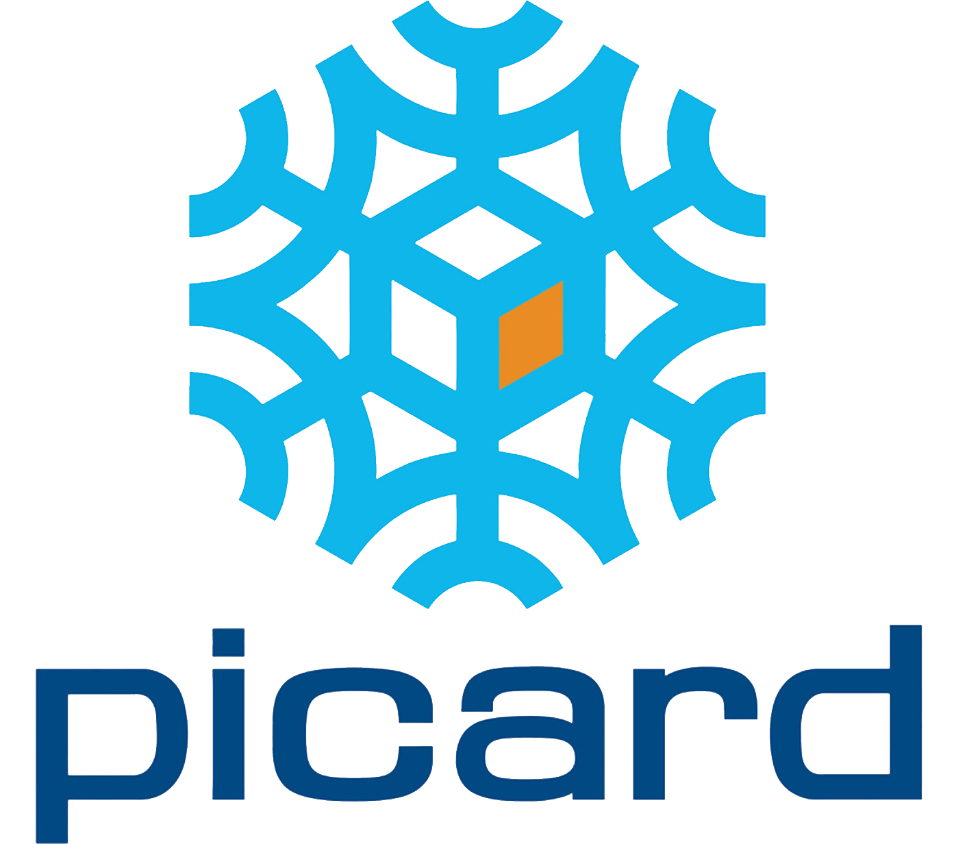 LOGO PICARD